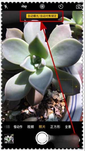 iPhone13怎么拍微距-怎么拍微距好看(图文)