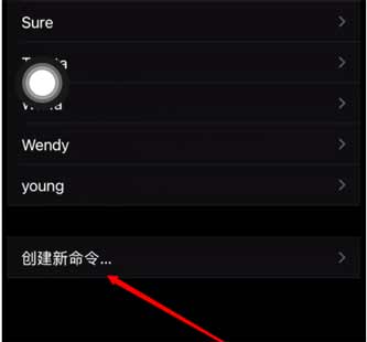 iPhone13怎么设置语音控制拍照(图文)