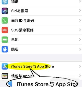 iPhone13怎么取消订阅自动续费(图文)