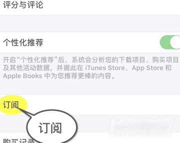 iPhone13怎么取消订阅自动续费(图文)