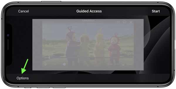 如何在 iPhone 上使用引导式访问将设备锁定运行一个应用? 如何在 iPhone 上使用引导式访问将设备锁定运行一个应用?