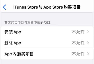 iOS 13 如何禁止下载应用和购买项目？