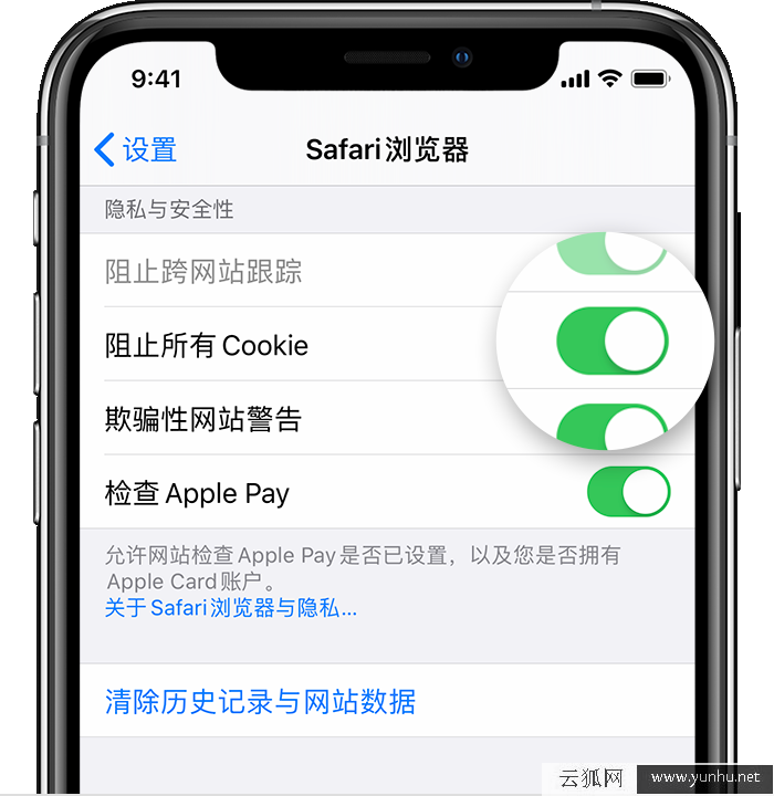 如何清除 Safari 浏览器中的历史记录和 Cookie?