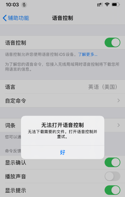 iPhone 11 提示“无法打开语音控制”,无法下载需要的文件怎么办? iPhone 11 提示“无法打开语音控制”,无法下载需要的文件怎么办?