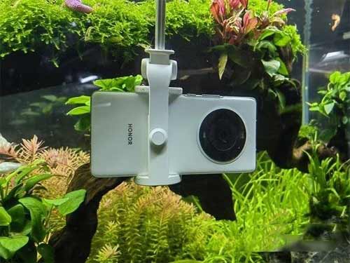 荣耀Magic3Pro可以水下拍摄吗(图文)