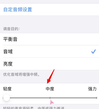 iOS 14 耳机调节功能，提升<a href='https://www.wddqw.com/c_659.html' target='_blank'>音乐</a>和通话音频质量