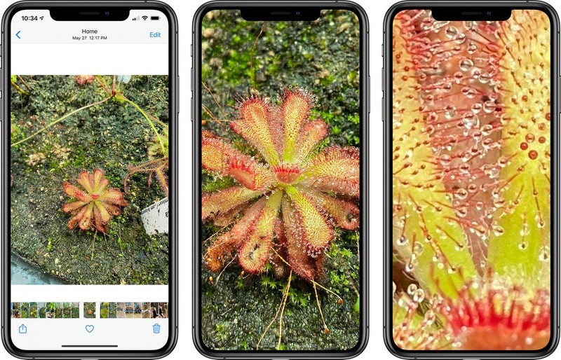 iOS 14 新变化:支持进一步放大照片 iOS 14 新变化:支持进一步放大照片