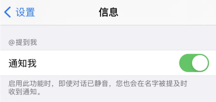 iOS 14信息应用中的“提到”功能使用方法 iOS 14信息应用中的“提到”功能使用方法