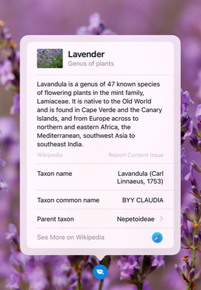 iOS 15 最实用的功能:识别照片中的文字,获得图片的更多信息 iOS 15 最实用的功能:识别照片中的文字,获得图片的更多信息