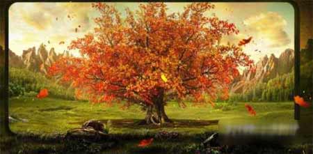 小米mix4手机怎么样-值得入手吗(图1)