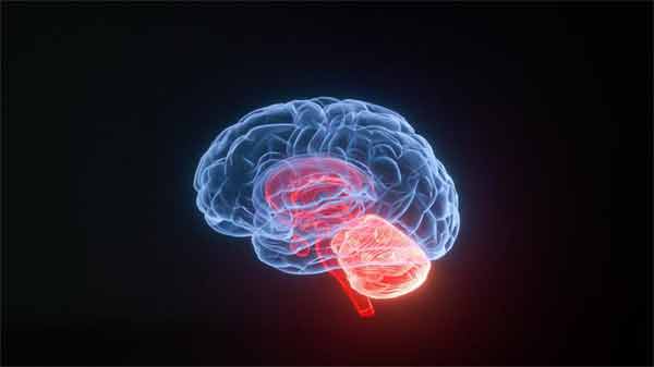 人工智能可帮助确定神经刺激的大脑区域,有望解决相关脑部疾病