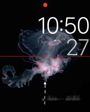 AppleWatch7怎么查找手机-怎么用AppleWatch7找iPhone(图文)