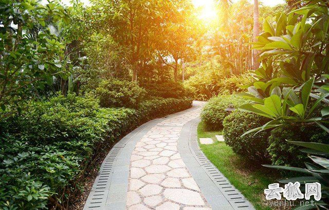 什么是专线网络？专线和家庭宽带有什么区别？