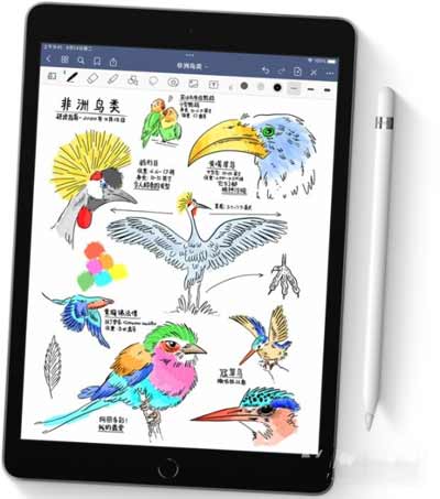 iPad9支持二代笔吗-怎么连接ApplePencil(图文)