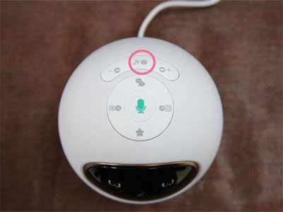 阿尔法小蛋怎么联网-怎么连接WiFi