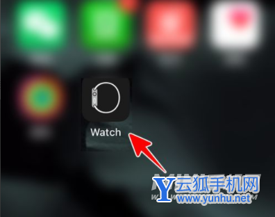 AppleWatch怎么升级到watchOS8-苹果手表怎么更新系统