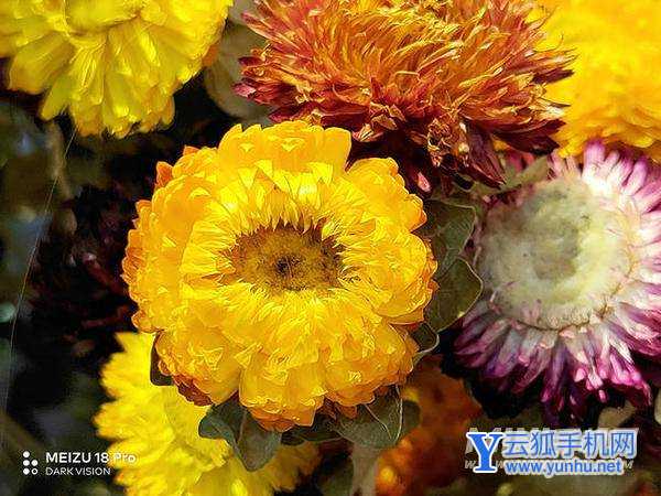 魅族18spro拍照怎么样-拍照性能评测(图文)