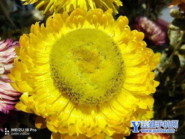 魅族18spro拍照怎么样-拍照性能评测(图文)