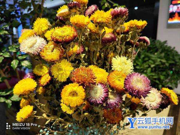 魅族18spro拍照怎么样-拍照性能评测(图文)