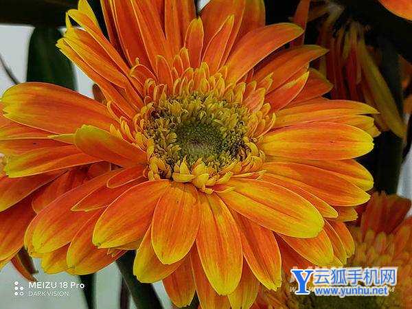 魅族18spro拍照怎么样-拍照性能评测(图文)