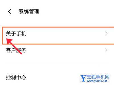 vivoX70怎么进入开发者模式-开发人员选项怎么打开