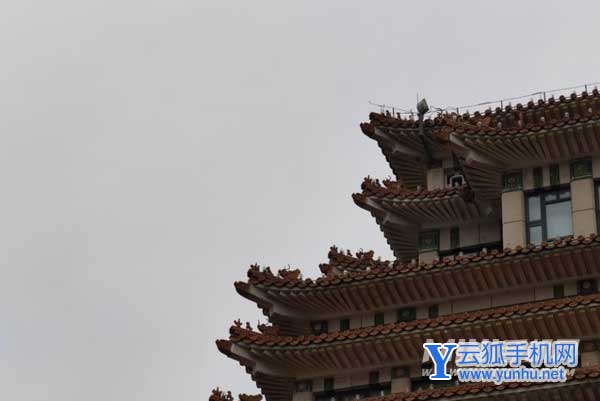 荣耀magic3Pro的多主摄融合摄影效果怎么样-多主摄融合摄影技术详情