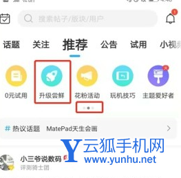 荣耀play3支持升级鸿蒙系统吗